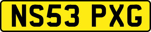 NS53PXG