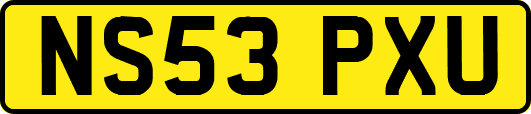 NS53PXU