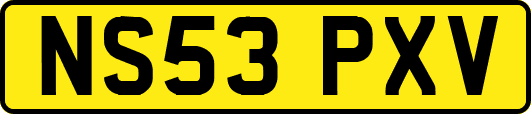 NS53PXV