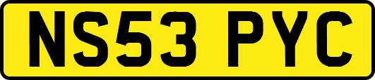 NS53PYC