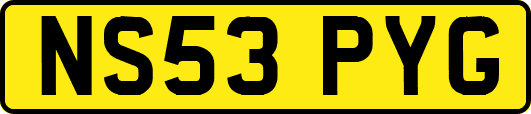 NS53PYG