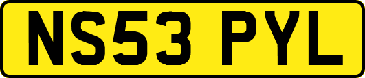 NS53PYL