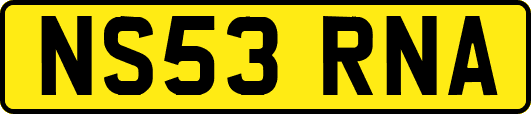 NS53RNA