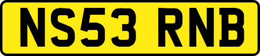 NS53RNB