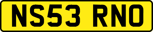 NS53RNO