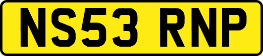 NS53RNP
