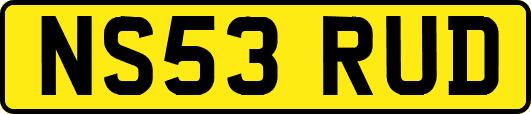 NS53RUD