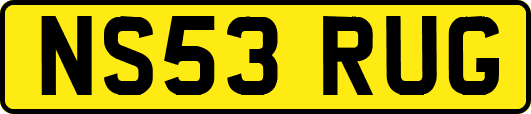 NS53RUG