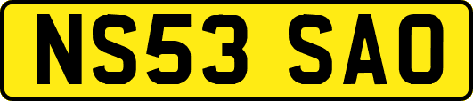NS53SAO