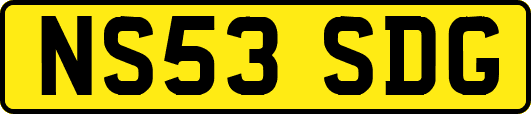 NS53SDG