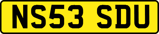NS53SDU