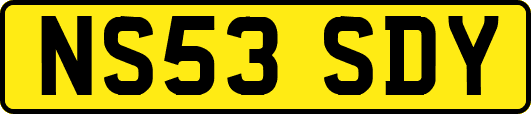 NS53SDY