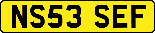 NS53SEF