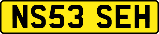 NS53SEH
