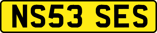 NS53SES