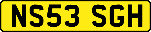 NS53SGH