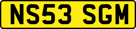 NS53SGM