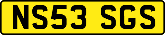 NS53SGS