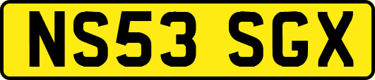 NS53SGX
