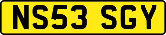 NS53SGY