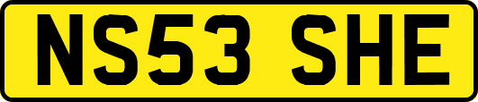 NS53SHE