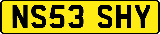 NS53SHY