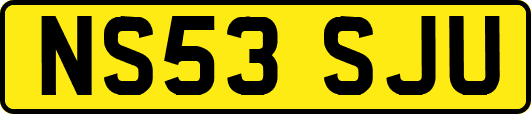 NS53SJU