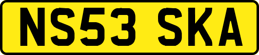 NS53SKA