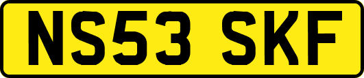 NS53SKF