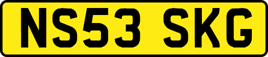 NS53SKG