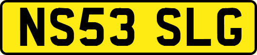 NS53SLG