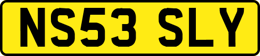 NS53SLY