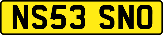 NS53SNO