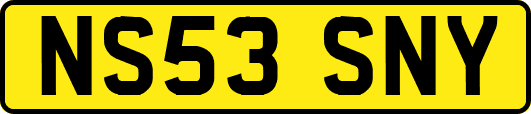 NS53SNY