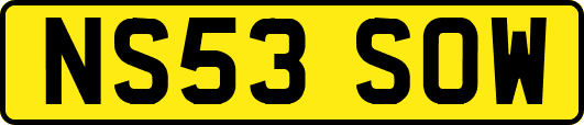 NS53SOW