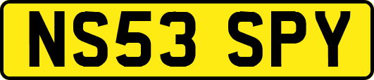 NS53SPY