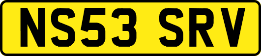 NS53SRV