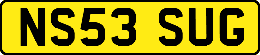 NS53SUG