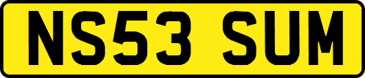 NS53SUM