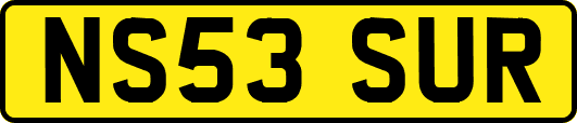 NS53SUR