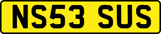 NS53SUS