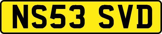 NS53SVD