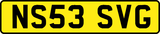 NS53SVG