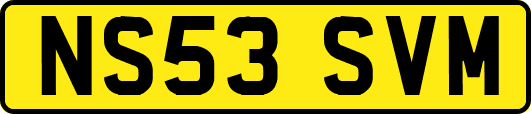NS53SVM