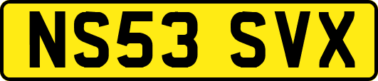 NS53SVX