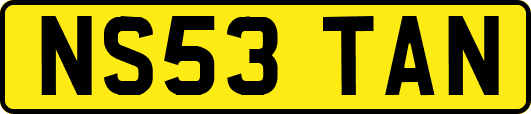 NS53TAN