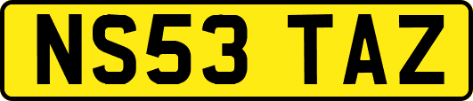 NS53TAZ