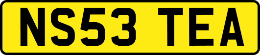 NS53TEA