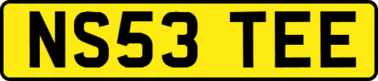 NS53TEE