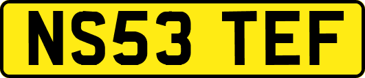 NS53TEF